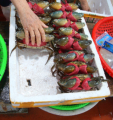 Cho Cai Dam Market