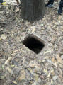 Tunnelanlagen von Cu Chi